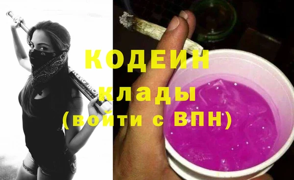 индика Краснослободск