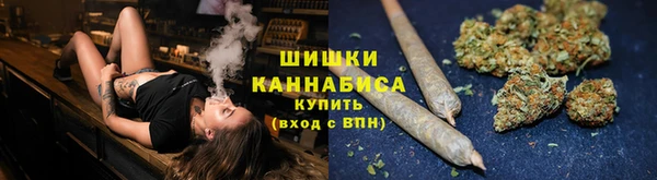 индика Краснослободск
