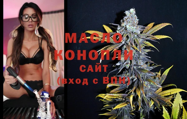 индика Краснослободск