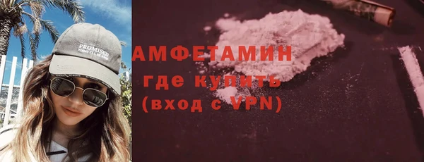 индика Краснослободск