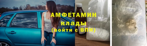 индика Краснослободск