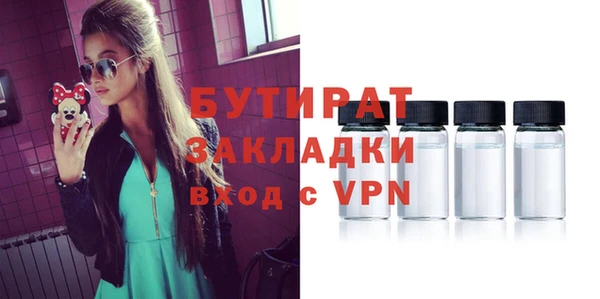 индика Краснослободск