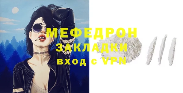 индика Краснослободск