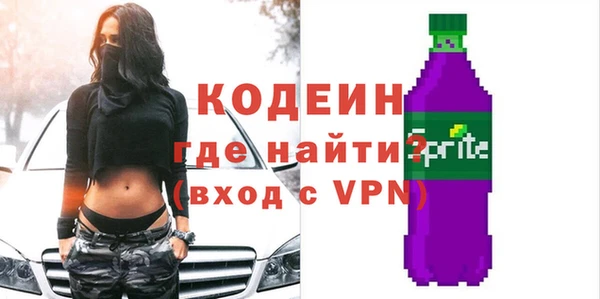индика Краснослободск