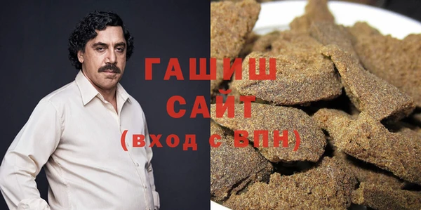 индика Краснослободск