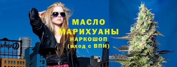 индика Краснослободск