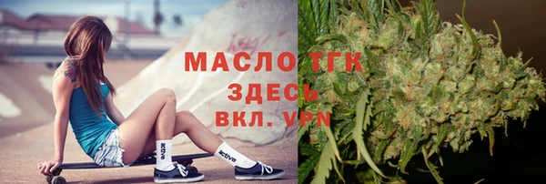 индика Краснослободск