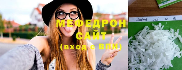 индика Краснослободск